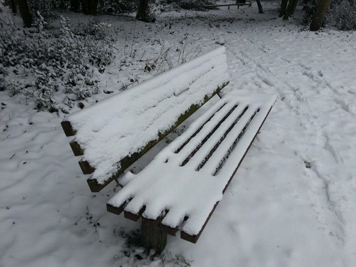 https__scontent.xx.fbcdn.net_v_t1.0-0_p180x540_263822_10151471631253714_856650812_n